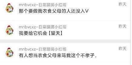 吃瓜爆料群,网络舆论场中的幕后推手