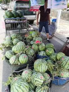 廊坊网红吃瓜事件,揭秘网络舆论的风暴与真相